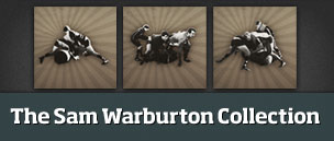 The Sam Warburton Collection